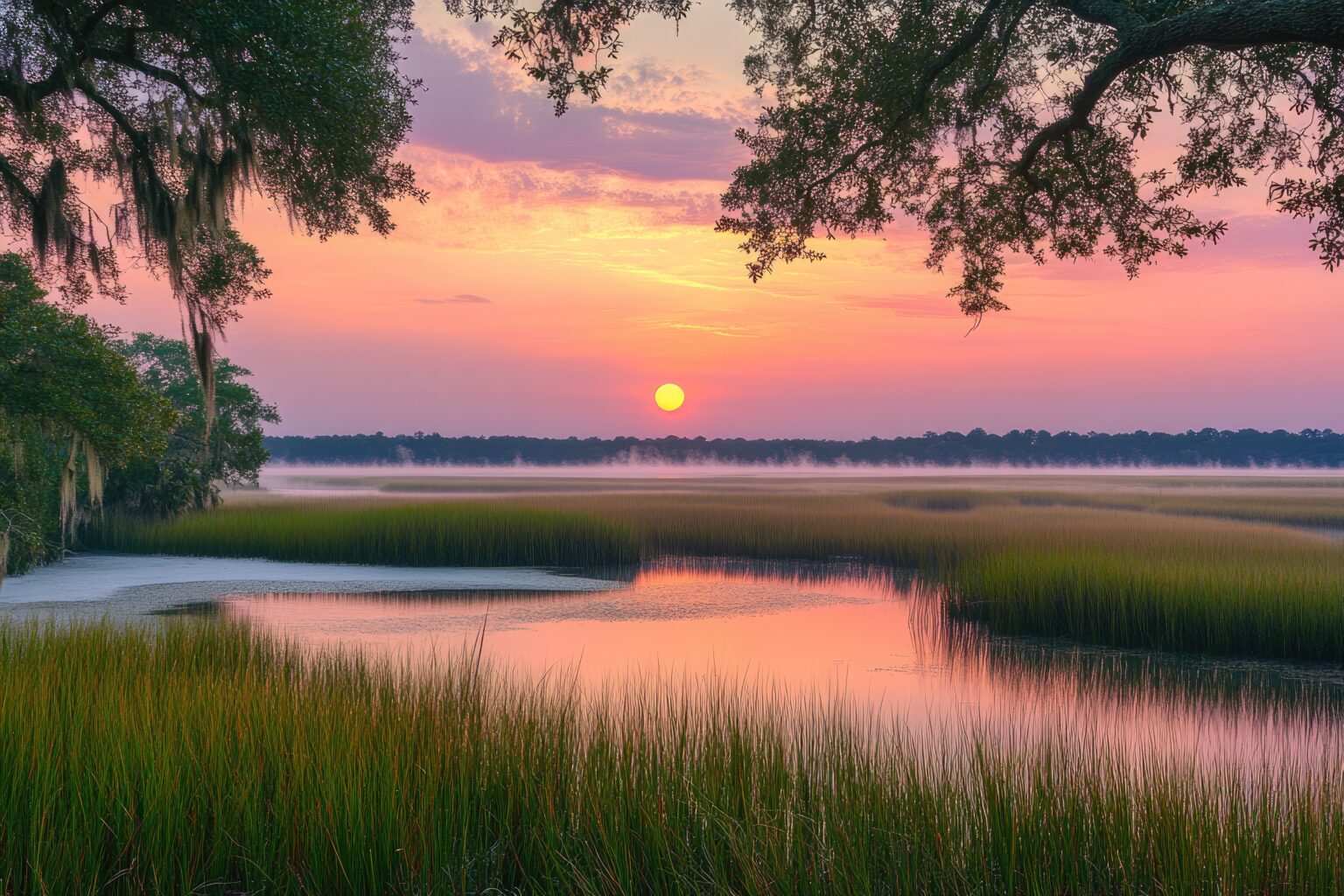 Marsh Harbor, Ponte Vedra