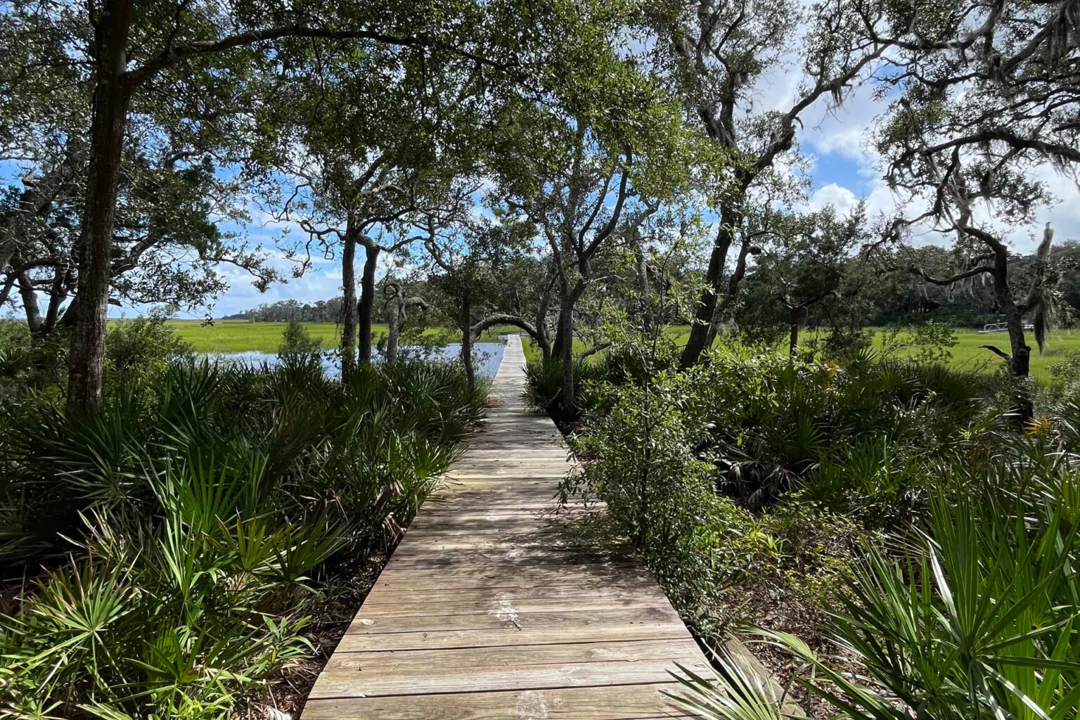 Nature trail leading through lush trees and greenery towards a serene waterway under a partly cloudy sky.