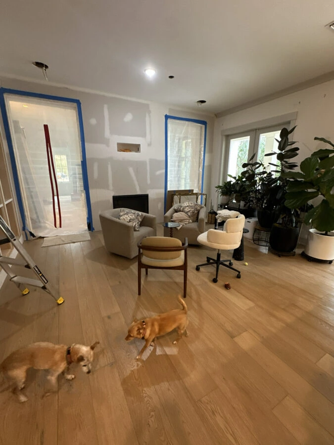 A modern living space in progress with construction elements, abundant greenery, and comfortable furniture, creating a welcoming atmosphere with natural light and stylish decor.