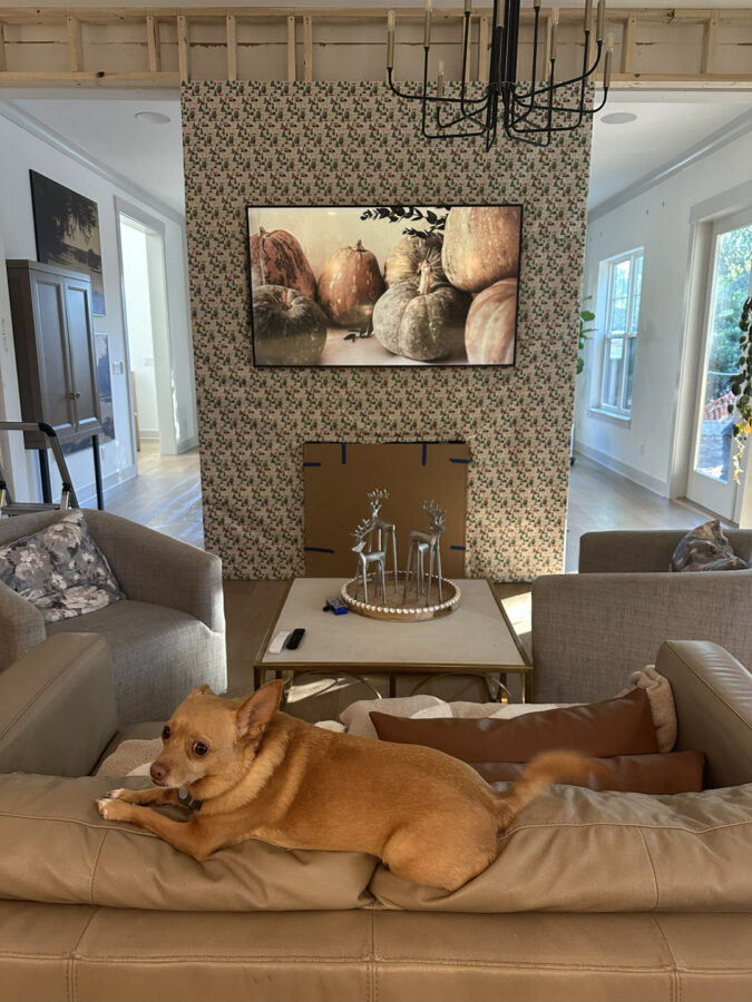 Cozy living room with a decorative fireplace, large wall-mounted flat-screen behind a patterned wallpaper accent wall, beige sofas, and a small dog lounging. Bright natural light from windows adds warmth to the space.
