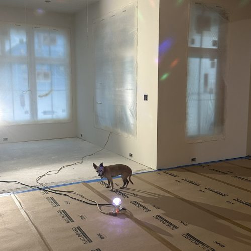 Brightly lit room under renovation with protective plastic coverings on windows, electrical wires hanging from ceiling, and a small dog standing on protective floor covering near a glowing light ball.