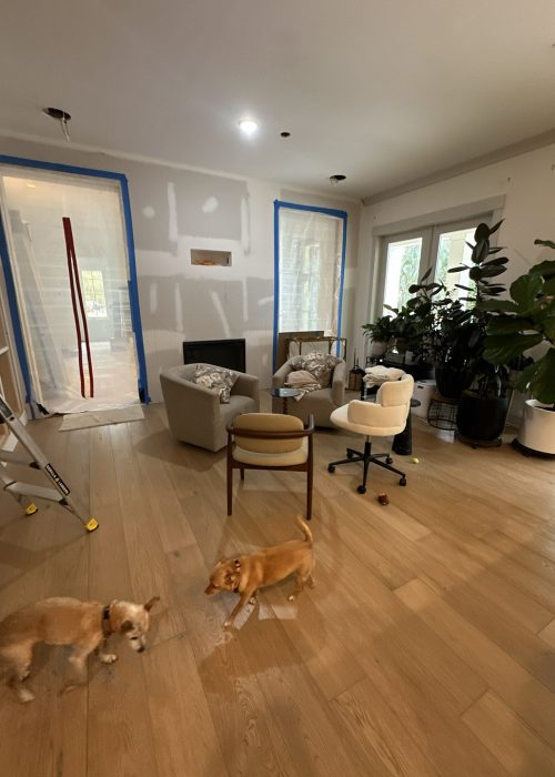 Bright living room undergoing renovation with unfinished walls, large window, and potted plants, featuring cozy seating and a small fireplace, with two playful dogs on hardwood flooring.