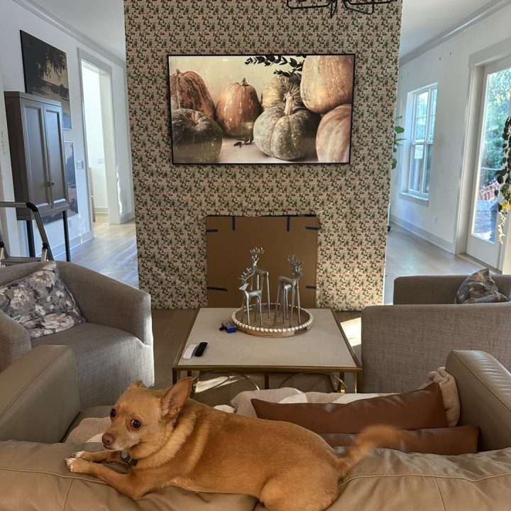Cozy living room with a decorative fireplace, large wall-mounted flat-screen behind a patterned wallpaper accent wall, beige sofas, and a small dog lounging. Bright natural light from windows adds warmth to the space.